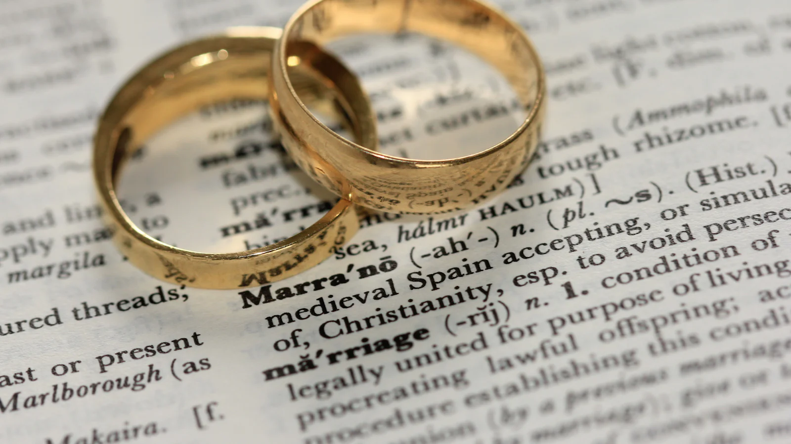 Duas alianças de casamento sobre a página de um dicionário