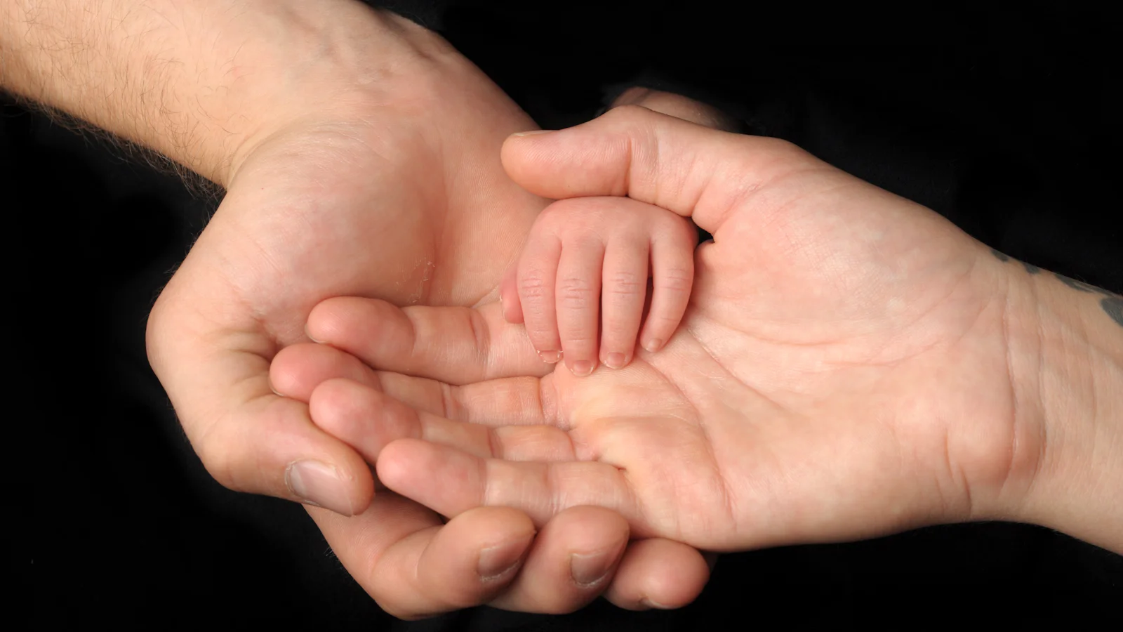 Duas mãos adultas segurando a pequena mão de um bebê